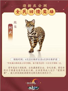 ce刷天龙八部私服